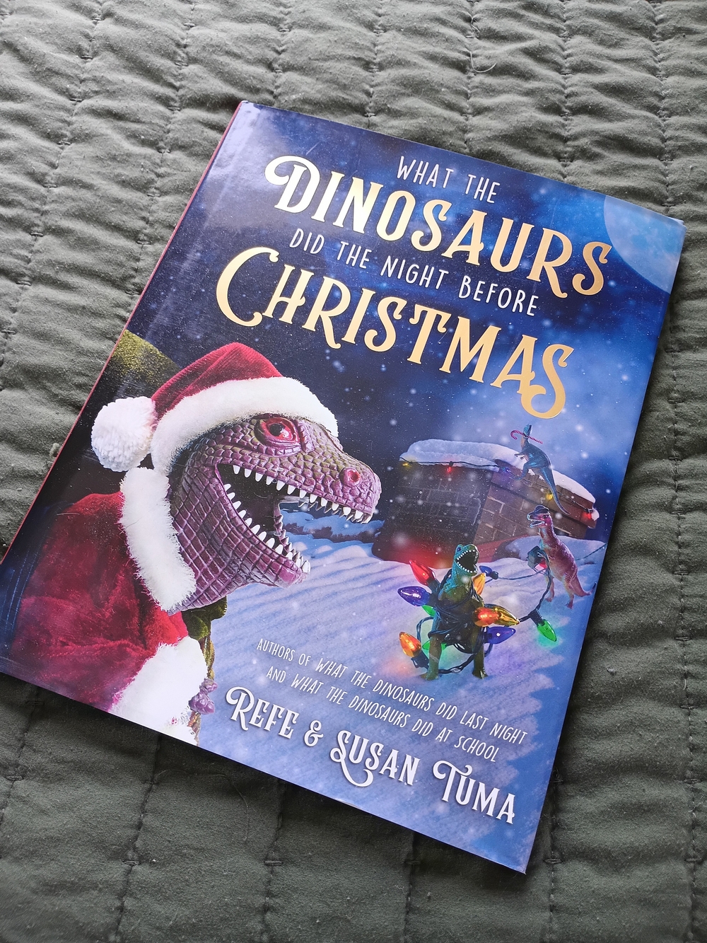 Little, Brown Books for Young Readers What the Dinosaurs Did the Night Before